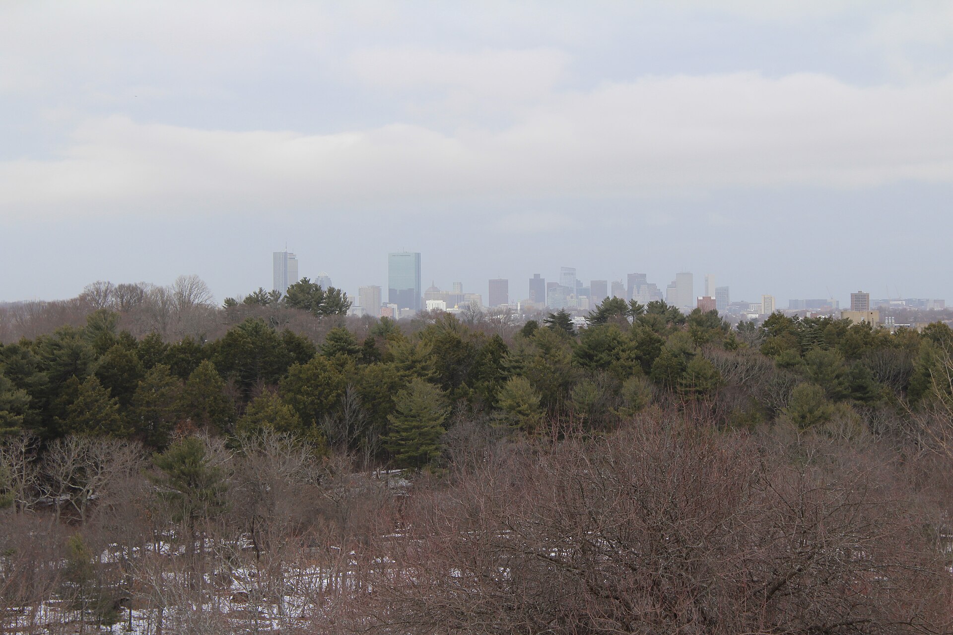 The Boston skyline from Peters Hill